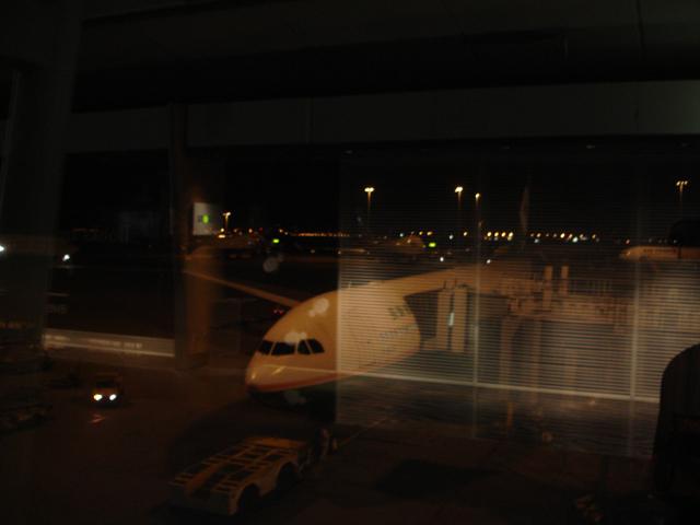 DSC00263.jpg